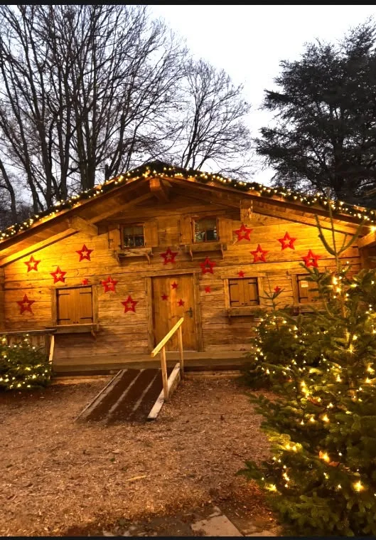 Haldenzauber Almhütte mit leuchtenden Weihnachtssternen und Tannenbäumen